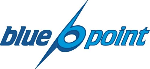 Blue Point LLC